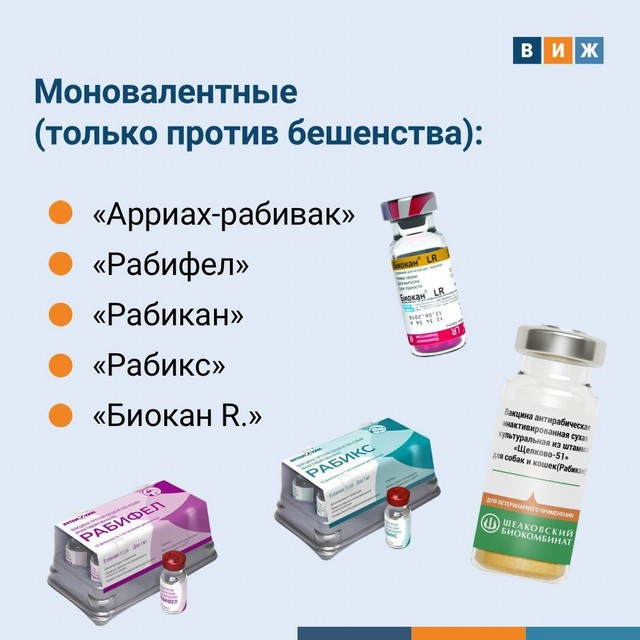 foto 2025 05 19 16 55 001