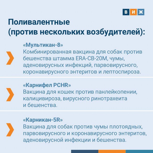 foto 2025 05 19 16 55 002