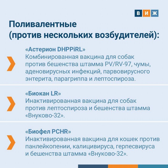 foto 2025 05 19 16 55 003