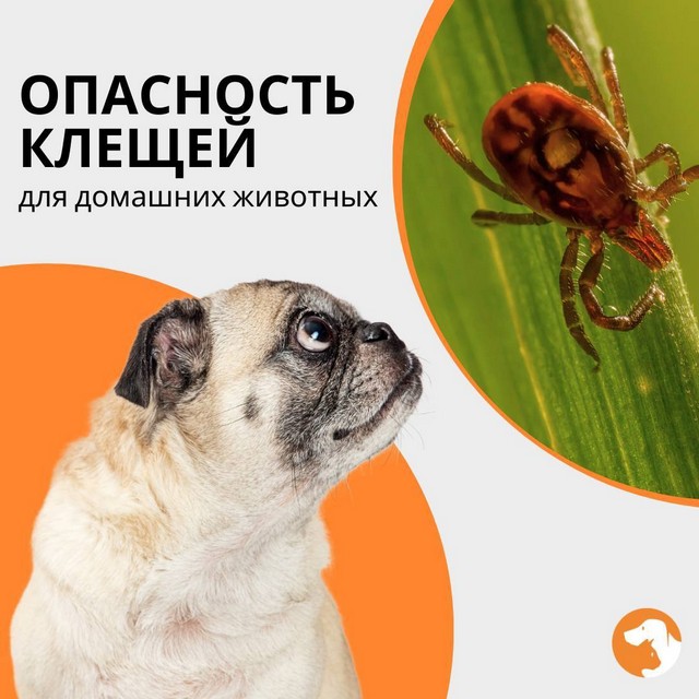 foto 2025 05 23 14 45 001