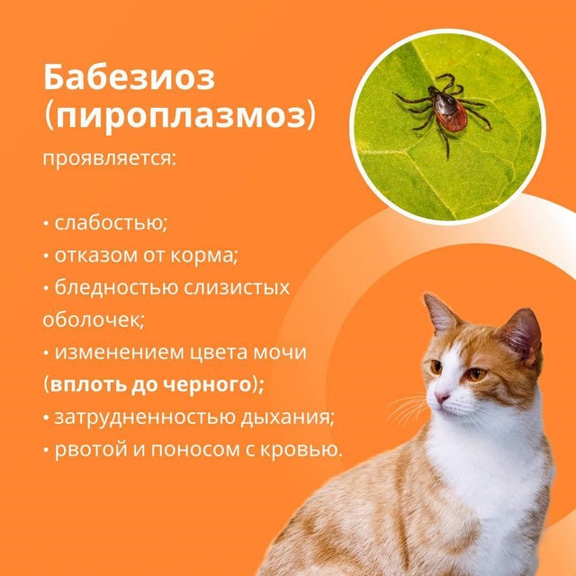 foto 2025 05 23 14 45 002