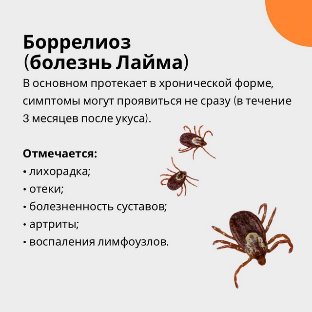 foto 2025 05 23 14 45 003