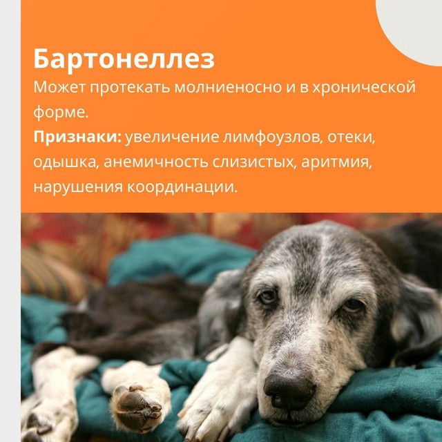 foto 2025 05 23 14 45 004