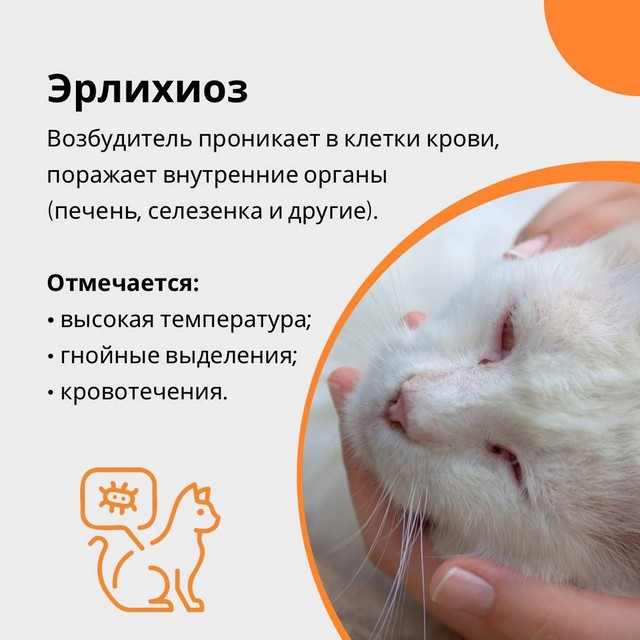 foto 2025 05 23 14 45 005