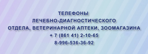 502X184 1 1