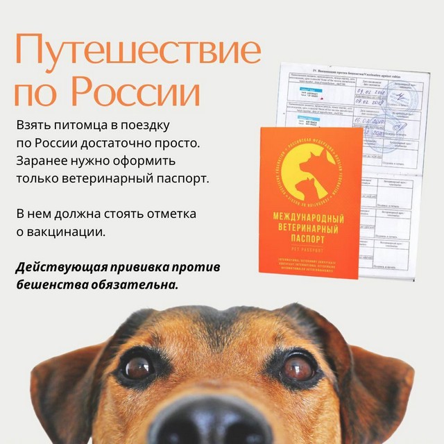 foto 2025 07 15 11 18 001