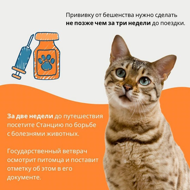 foto 2025 07 15 11 18 002