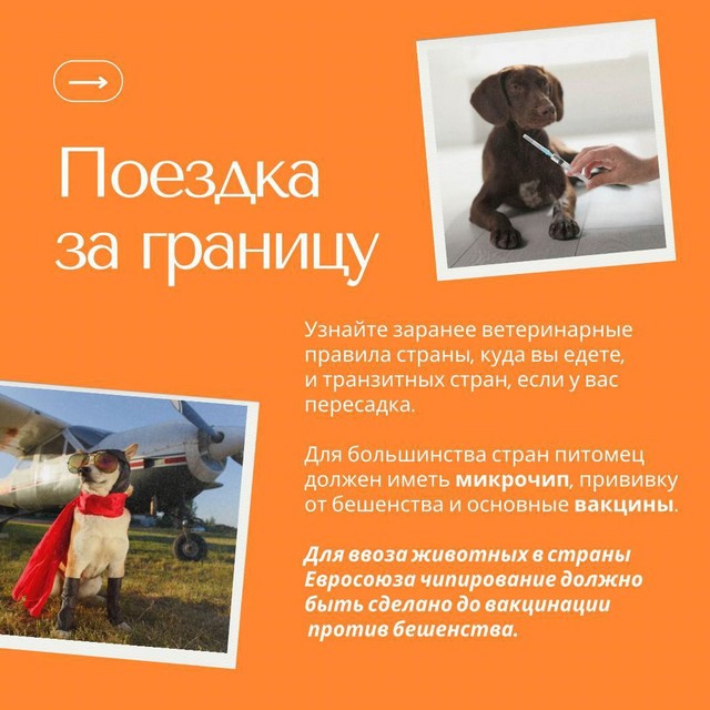 foto 2025 07 15 11 18 003