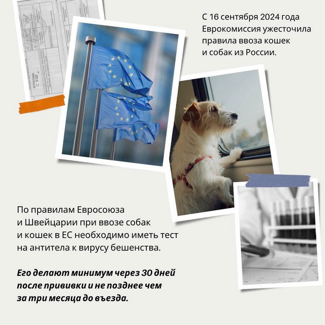foto 2025 07 15 11 18 004