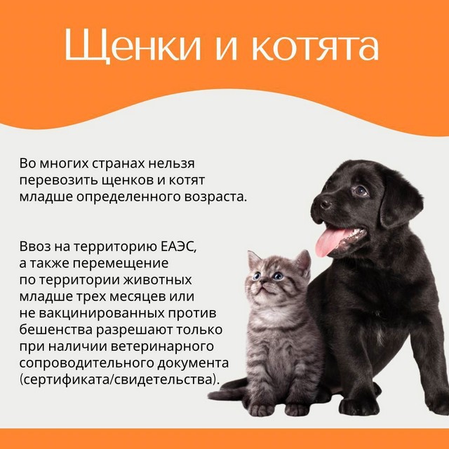 foto 2025 07 15 11 18 005
