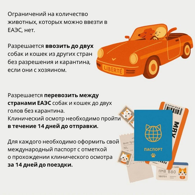 foto 2025 07 15 11 18 006
