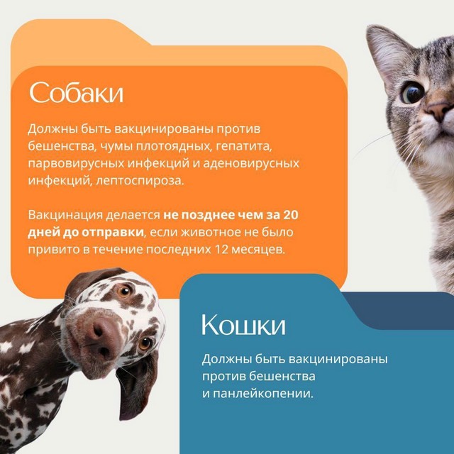 foto 2025 07 15 11 18 007