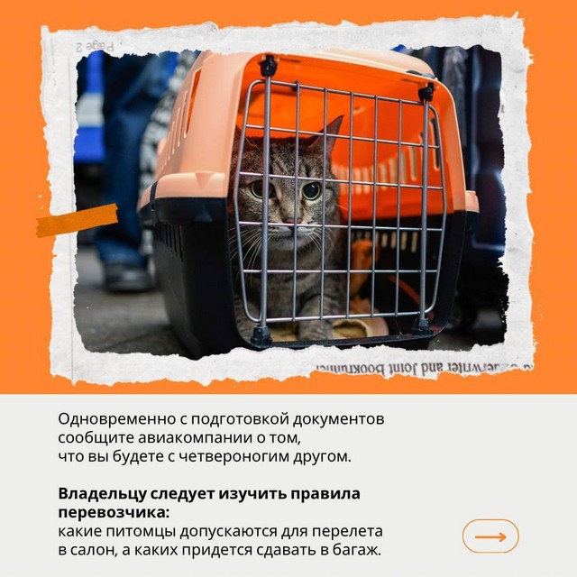 foto 2025 07 15 11 18 008