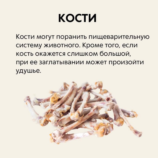 foto 2025 04 02 10 52 2