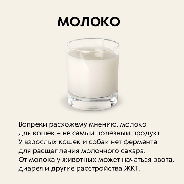 foto 2025 04 02 10 52 3