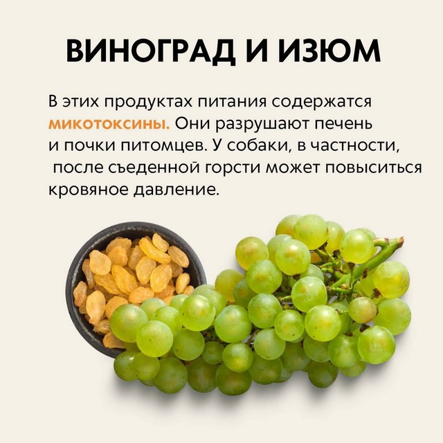 foto 2025 04 02 10 52 4