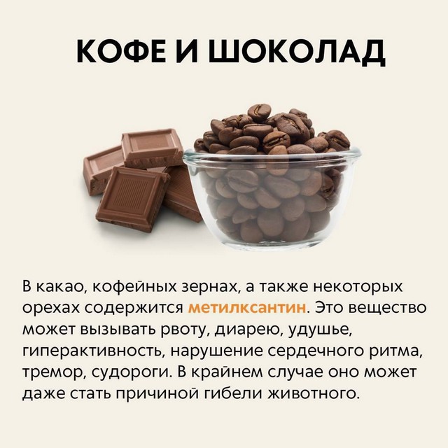 foto 2025 04 02 10 52 6