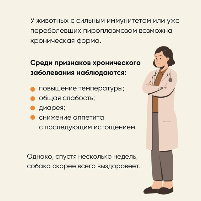 foto 2025 04 03 16 33 4